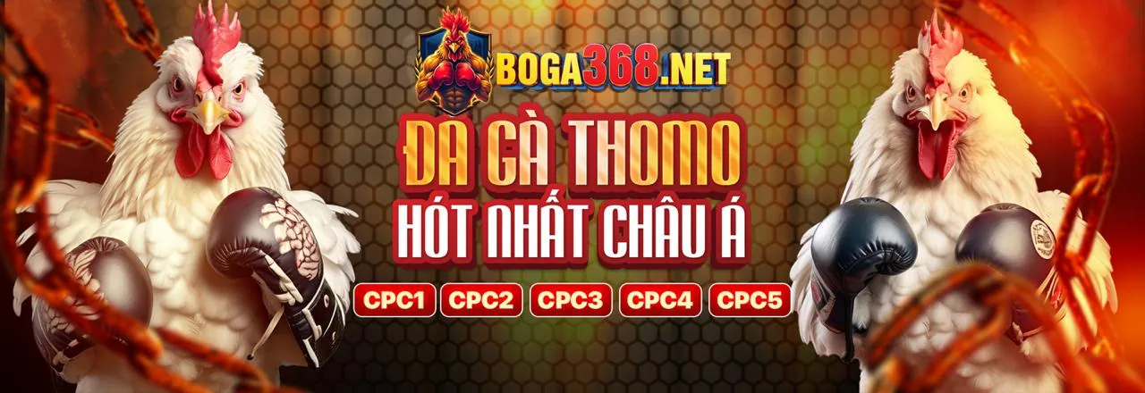 Đá Gà Trực Tiếp tại mu66